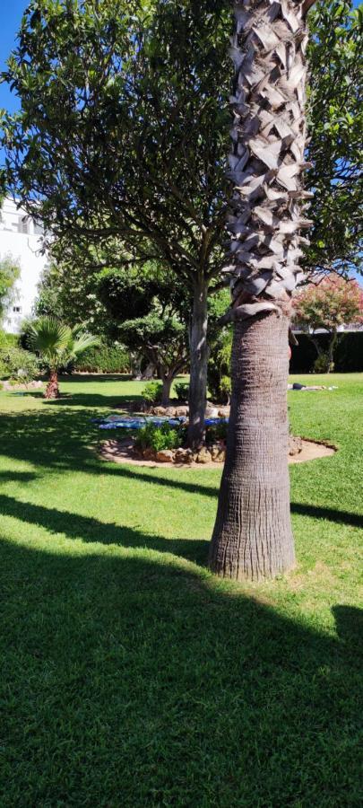Delta Del Sur Lägenhet Benalmádena Exteriör bild
